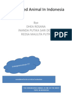 Endangered Animal in Indonesia: Bye Dhea Rosana Inanda Putika Sari Dewi Redsa Maulita Putri