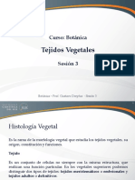 Tejidos Vegetales