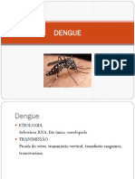 Dengue e Leptospirose Slide