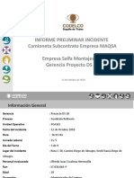 Informe Preliminar .PPT Salfa