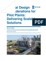 WHITE PAPER Special Design Considerations For Pilot Plants - PRINT