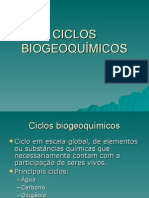 Biologia PPT - Ciclos Bioquímicos