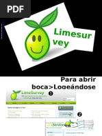 Lime Survey