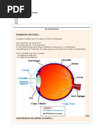 Anatomie Et Physiologie de L - Oeil