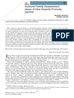 Techniques of Structural Family Assessment: A Qualitative Analysis of How Experts Promote A Systemic Perspective