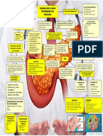 Enzimologia Pancreas