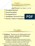 Understanding Perceptions and Attributions