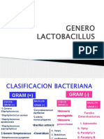 Genero Lactobacillus