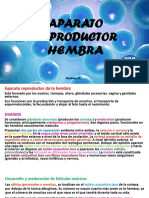 Aparato Reproductor Hembra