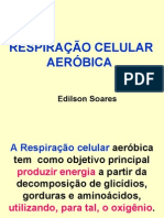 Biologia PPT - Respiração Celular Etapas