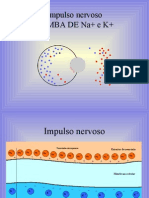 Biologia PPT - Tecidos