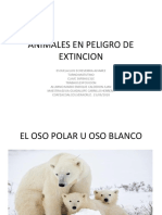 Animales en Peligro de Extincion