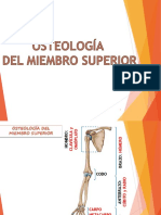 Miembro Superior Articulaciones