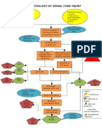 Pa Tho Physiology of Spinal Cord Injury