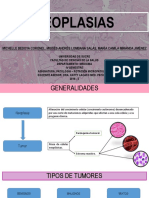 Diapositivas Neoplasias (Autoguardado)