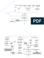 Pathway b20