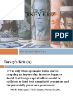 Turkey Kriz: The Fall and Fall of Lira