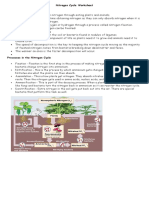 Nitrogen Cycle W Questions