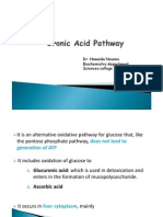 Uronic Acid Pathway