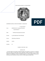 Colorante de Achiote Aceite Esencial (Informe de Entrega)