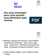 Mikologi Kedokteran: Ilmu Yang Mempelajari Jamur Serta Penyakit Yang Ditimbulkan Pada Manusia