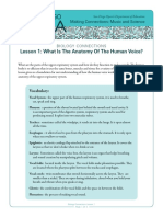 Lesson 1: What Is The Anatomy of The Human Voice?: Making Connections: Music and Science