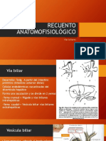 RECUENTO ANATOMOFISIOLÓGICO Ictericia