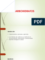 Exposicion Diapositivas Carbohidratos (Autoguardado)