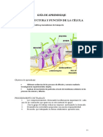 MUSsec Teoria4