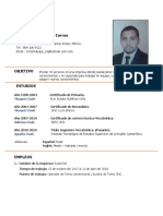 Curriculum Vitae