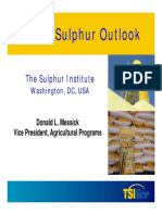 World Sulphur Outlook