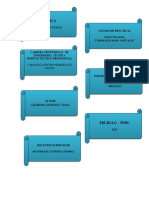 Informe de Prácticas Iniciales Carla