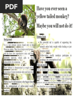 Have You Ever Seen A Yellow Tailed Monkey? Maybe You Will Not Do It!