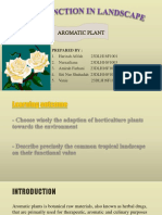 Plant Function in Landscape (PLANT ID)