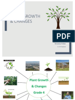 Breannafishergrade 4 Plant Growth Changes Unit Plan