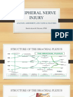 Peripheral Nerve Injury: Anatomy, Assessment, and Clinical Features