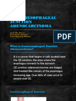 Gastroesophageal Junction Adenocarcinoma