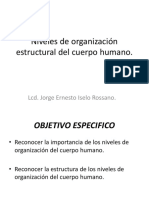 Niveles de Organización Estructural Del Cuerpo Humano