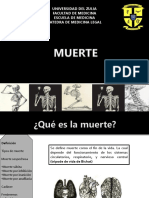 Muerte - Medicina Legal