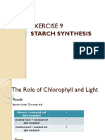 Exercise 9: Starch Synthesis