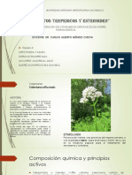 "Compuestos Terpenicos y Esteroides" PDF