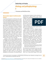 Neuropathology and Pathophysiology of Stroke