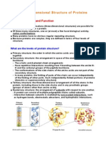 The Three-Dimensional Structure of Proteins: Protein Structure and Function