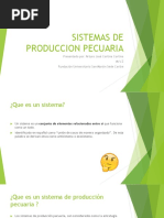 Sistemas de Produccion Pecuaria