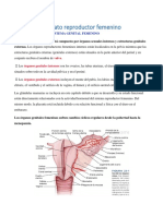 Aparato Reproductor Femenino