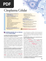 Histologia Ross 7 Resumen de Organelos