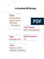 Mbt1 B Cloning Expression 14 15