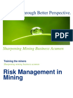 Risk Management in Mining