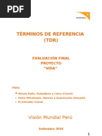 Evaluación Final de Proyecto "Vida"