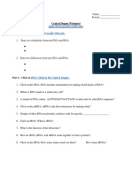 Central Dogma Webquest